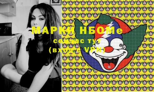 гашик Аркадак