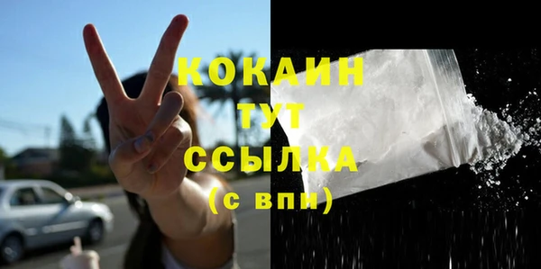 дмт Арсеньев
