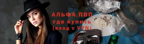 гашик Аркадак
