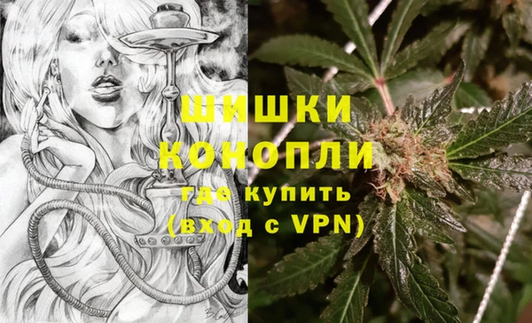 дмт Арсеньев