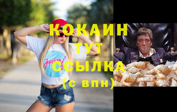 гашик Аркадак