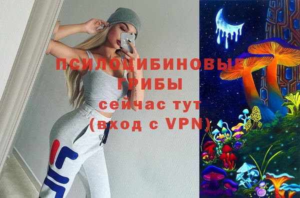 дмт Арсеньев